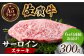 A5ランク 佐賀牛 牛肉 サーロイン ステーキ A5 佐賀牛 a5 1枚 和牛 黒毛和牛 小分け 冷凍 定期 6回 6ヶ月