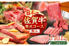 【2度の農林水産大臣賞】【全12回定期便】佐賀牛 贅沢コース＜極み＞【田中畜産牛肉店】定期便 黒毛和牛 牛肉 ヒレ ステーキ スライス 焼肉 国産 牛肉 [HBH135]
