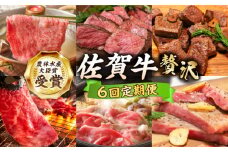 【2度の農林水産大臣賞】＜2ヵ月に1回お届け＞【全6回定期便】佐賀牛 贅沢コース【田中畜産牛肉店】定期便 黒毛和牛 牛肉 ヒレ ステーキ スライス 焼肉 ローストビーフ [HBH136]