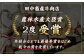 【全6回定期便】佐賀牛 贅沢コース【田中畜産牛肉店】定期便 黒毛和牛 牛肉 ヒレ ステーキ スライス 焼肉 [HBH136]