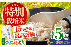 【先行予約】【全6回定期便】特別栽培米「さがびより」玄米 5kg 【だいちの家】特A米 特A評価 [HAG029]