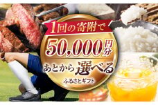 【あとから選べる】江北町ふるさとギフト 寄附金額 5万円分【佐賀県江北町】 [HZZ003]
