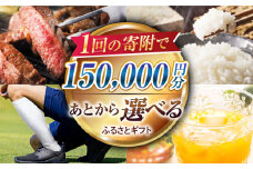 【あとから選べる】江北町ふるさとギフト 寄附金額 15万円分【佐賀県江北町】 [HZZ005]