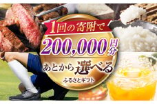 【あとから選べる】江北町ふるさとギフト 寄附金額 20万円分【佐賀県江北町】 [HZZ006]