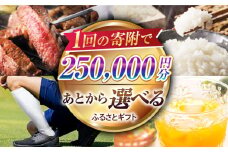 【あとから選べる】江北町ふるさとギフト 寄附金額 25万円分【佐賀県江北町】 [HZZ007]