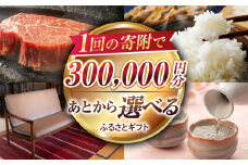 【あとから選べる】江北町ふるさとギフト 寄附金額 30万円分【佐賀県江北町】 [HZZ008]