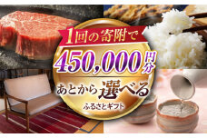 【あとから選べる】江北町ふるさとギフト 寄附金額 45万円分【佐賀県江北町】 [HZZ011]