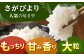 佐賀県産 さがびより 白米 2kg×２袋＜保存に便利なチャック付＞【株式会社中村米穀】  [HCU001]