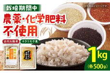 【からだが喜ぶひとときを】古代七穀米・キラリモチ麦セット（各500g）（【だいちの家】雑穀 雑穀米 麦 穀物 [HAG035]