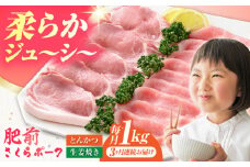 【全3回定期便】肥前さくらポーク 詰め合わせ セット 【JAさが 杵島支所】豚 ロース 豚肉 しょうが焼き とんかつ 生姜焼き トンカツ 豚カツ [HAM072]