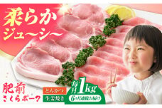 【全6回定期便】肥前さくらポーク 詰め合わせ セット 【JAさが 杵島支所】豚 ロース 豚肉 しょうが焼き とんかつ 生姜焼き トンカツ 豚カツ [HAM073]