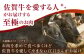 【全国有数のブランド牛】佐賀牛サーロインブロック 500g 【がばいフーズ】A5ランク 佐賀牛 [HCS092]