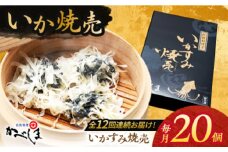 【全12回定期便】かべしまのいか焼売 いかすみ焼売 20個入り　【呼子かべしま直売所】 しゅうまい いか焼売 いか いかしゅうまい イカ墨 いかすみ いか墨 シュウマイ イカ 烏賊 [HCL044]