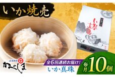 【全6回定期便】かべしまのいか焼売 いか真珠 10個入り　【呼子かべしま直売所】 いか しゅうまい 焼売 いかしゅうまい イカしゅうまい いか焼売 イカ 烏賊 イカ焼売 [HCL047]