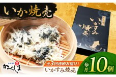 【全3回定期便】かべしまのいか焼売 いかすみ焼売 10個入り　【呼子かべしま直売所】 しゅうまい いか焼売 いか いかしゅうまい イカ墨 いかすみ いか墨 シュウマイ イカ 烏賊 [HCL050]