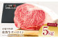 【全国有数のブランド牛】佐賀牛サーロインブロック 5kg【がばいフーズ】A5ランク 佐賀牛 [HCS109]