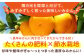 【幻のみかん】みかん食べくらべ定期（太陽のしずく・今村温州みかん）【夢の甘熟みかん タッチ】 [HCE003] 
