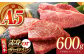 【何が届くかお楽しみ】佐賀牛 ステーキ 600g （サーロイン/赤身） 【がばいフーズ】A5ランク 佐賀牛 [HCS079]