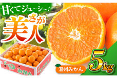 【厳しい基準をクリアしたみかん】 佐賀みかん （さが美人）5kg 【JAさが 杵島支所】 [HAM086] みかん 佐賀みかん 温州みかん さが美人 佐賀県 ミカン 果物 フルーツ
