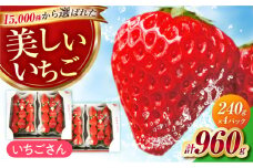 【1月〜3月発送】いちごさん 240g×4パック 【JAさが 杵島支所】 [HAM087] いちご 苺 イチゴ 佐賀県 果物 フルーツ いちごさん ブランド