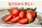 いちごさん 240g×4パック [HAM087] いちご 苺 イチゴ 佐賀県 果物 フルーツ いちごさん ブランド