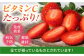 いちごさん 240g×4パック [HAM087] いちご 苺 イチゴ 佐賀県 果物 フルーツ いちごさん ブランド