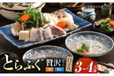 【先行予約】泳ぐ・とらふぐ ＜白子付＞ ふぐ刺・ふぐ鍋セット（3〜4人前） [HAB003]