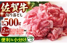 【全12回定期便】佐賀牛 切り落とし 500g  ( 250g×2パック ) 【山下牛舎】 [HAD158] 小分け 真空パック 黒毛和牛 牛肉