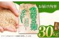 ももちゃんちのお米 さがびより 玄米 30kg【ももさき農産】特A米 特A評価 [HCG014]
