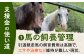 【幸せな第二の馬生を】引退競走馬支援 1,000円 【CLUB RIO】 