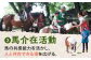 【幸せな第二の馬生を】引退競走馬支援 10,000円 【CLUB RIO】 