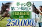 【幸せな第二の馬生を】引退競走馬支援 250,000円 【CLUB RIO】