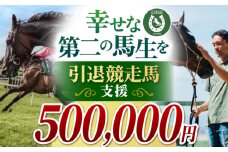 【幸せな第二の馬生を】引退競走馬支援 500,000円 【CLUB RIO】 支援 動物支援 動物保護 流鏑馬 返礼品なし [HBY009]