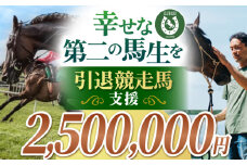 【幸せな第二の馬生を】引退競走馬支援 2,500,000円 【CLUB RIO】 支援 動物支援 動物保護 流鏑馬 返礼品なし [HBY011]