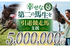 【幸せな第二の馬生を】引退競走馬支援 5,000,000円 【CLUB RIO】 支援 動物支援 動物保護 流鏑馬 返礼品なし [HBY012]