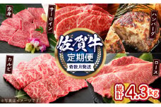 【偶数月発送】佐賀牛リッチセレクション定期便【多久精肉店】 [HCX007]