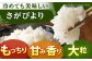 佐賀県産 さがびより 無洗米 2kg×2袋＜保存に便利なチャック付＞ [HCU037] / 食品 米 白米 精米 無洗米 4kg