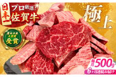 【全6回定期便】佐賀牛 焼肉 切り落とし 500g 【田中畜産牛肉店】 佐賀牛 牛肉 精肉 肉 切り落とし 6回 6ヶ月 定期 [HBH155]