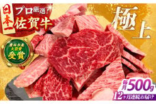 【全12回定期便】佐賀牛 焼肉 切り落とし 500g 【田中畜産牛肉店】 佐賀牛 牛肉 精肉 肉 切り落とし 12回 12ヶ月 定期 [HBH156]