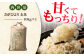 さがびより 玄米 10kg【ひなたむらのお米】 [HAC004]米 佐賀 佐賀県産 特A評価 特A米 玄米 新米