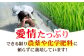 さがびより 玄米 20kg ( 10kg×2袋 ) 【ひなたむらのお米】 [HAC005] 米 佐賀 佐賀県産 特A評価 玄米