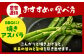 食品 野菜 アスパラ アスパラガス あすぱら あすぱらがす 佐賀県 佐賀 国産