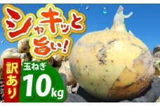【今が旬!】 訳あり 玉ねぎ 10kg 　【えぐちファーム】 [HDE002] 不揃い たまねぎ 小玉 玉葱 中生 晩生 タマネギ 佐賀県 江北町