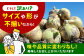 訳あり 玉ねぎ 10kg 　【えぐちファーム】 [HDE002] 不揃い たまねぎ 小玉 玉葱 中生 晩生 タマネギ 佐賀県