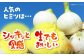 訳あり 玉ねぎ 10kg 　【えぐちファーム】 [HDE002] 不揃い たまねぎ 小玉 玉葱 中生 晩生 タマネギ 佐賀県