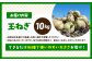 訳あり 玉ねぎ 10kg 　【えぐちファーム】 [HDE002] 不揃い たまねぎ 小玉 玉葱 中生 晩生 タマネギ 佐賀県