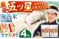 ＜真空パック＞ さがびより 無洗米 4kg ( 2kg × 2袋 )【五つ星お米マイスター厳選】 [HBL012]