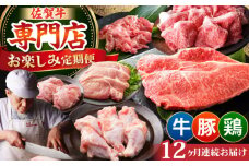 【全12回定期便】牛・豚・鶏 お楽しみ定期 総計13,920g 【肉の三栄】 牛肉 豚肉 鶏肉 [HAA145]