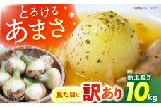 訳あり 新玉ねぎ 10kg  【あかるい農園 ミッチ―】 不揃い たまねぎ [HDF001]