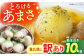 訳あり 新玉ねぎ 10kg  【あかるい農園 ミッチ―】 不揃い たまねぎ [HDF001]